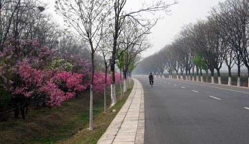 08 - 006 THE ROAD TO THE MING TOMBS.jpg