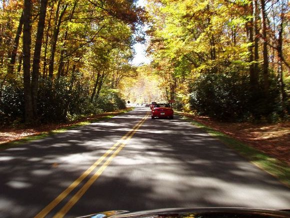 PA190010.JPG