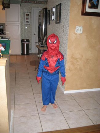 xmas 08 043.JPG