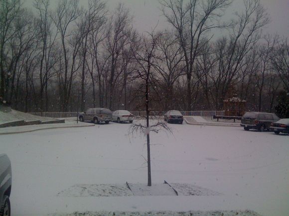 Snow_1-19-09a.jpg