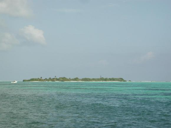 Gilligan's Island.jpg