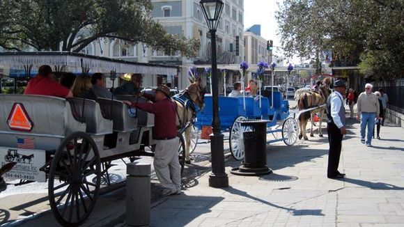 05 carriages.jpg