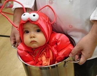 baby lobster 2