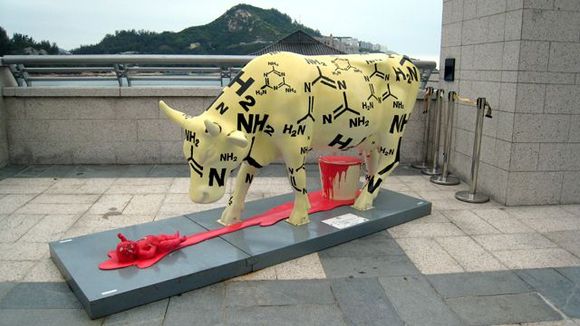 cow.jpg