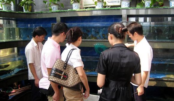 picking out lunch 1.jpg
