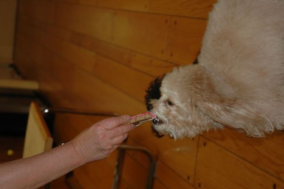 DSC_0686.JPG