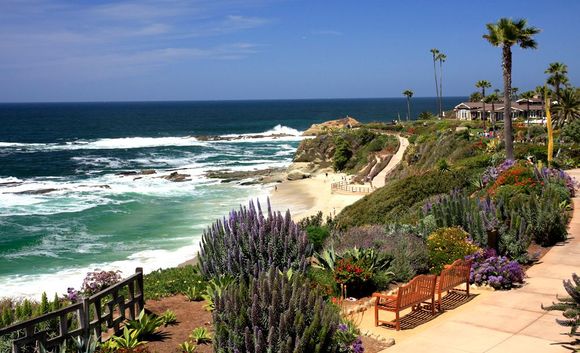 IMG_2790 Montage Perfect.jpg