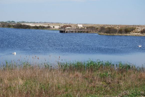 DSC_0031.JPG