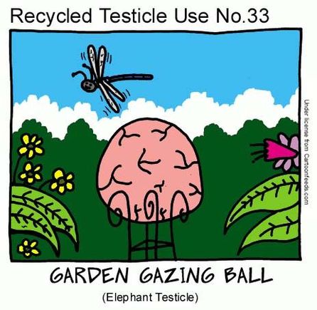 testicles33.jpg