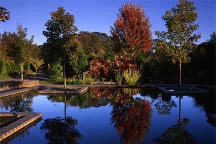 Bosque5.jpg