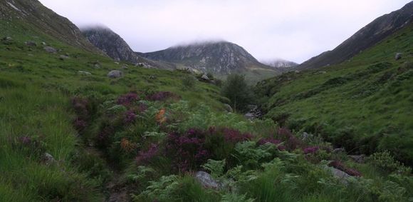 IMG_9450.JPG