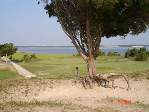 Carolina Beach 2009 060.jpg