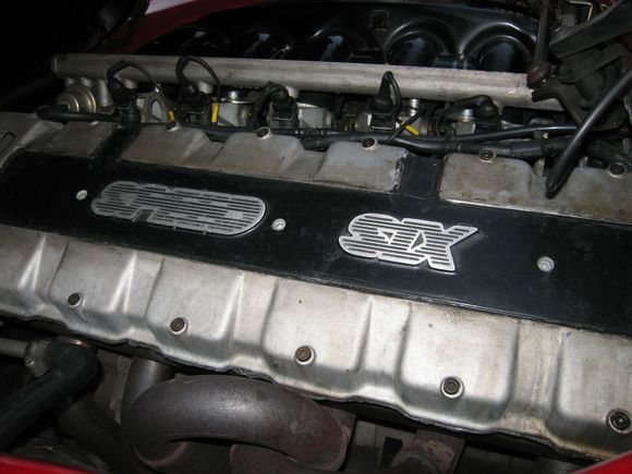 TVR OURS 038.JPG