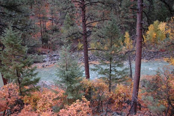 DSC_0339.JPG