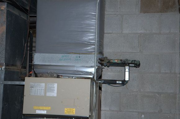 gabeous 016.jpg