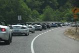 LINE ON HWY 101.jpg