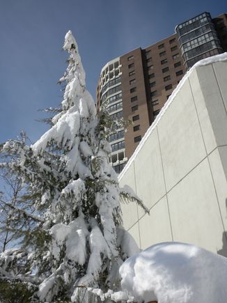 DSCN0103.JPG