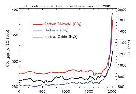 greenhouse contribution.jpg