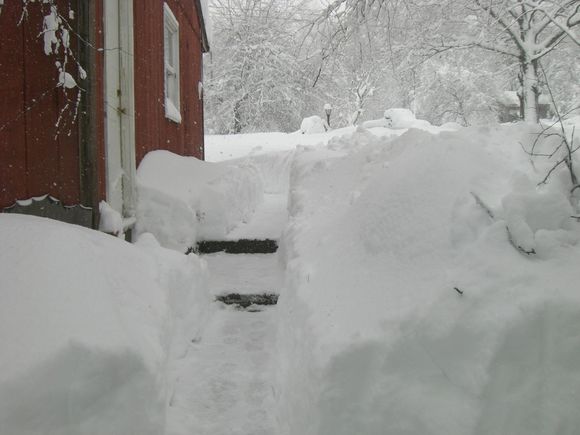 blizzard 003.jpg