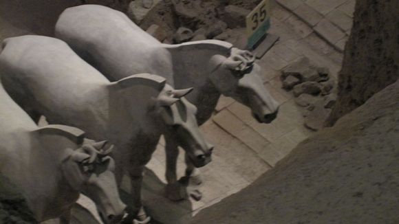 IMG_0188x.jpg