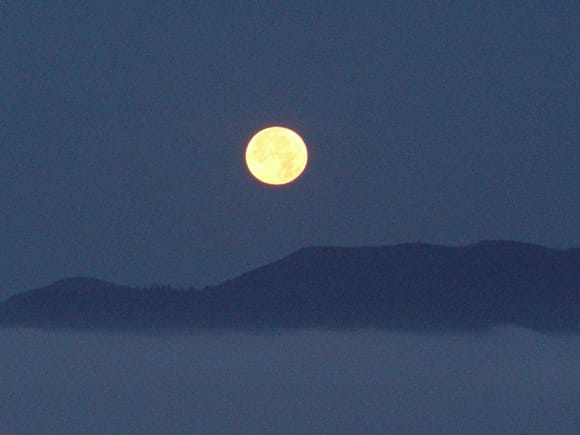 Napa Valley in moonlight
