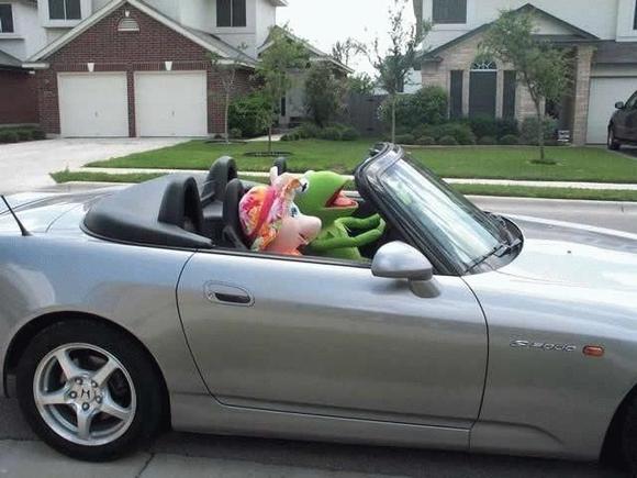 kermit4.jpg