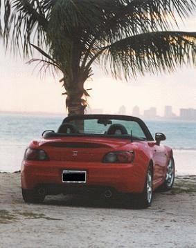 Topless at the Beach.jpg