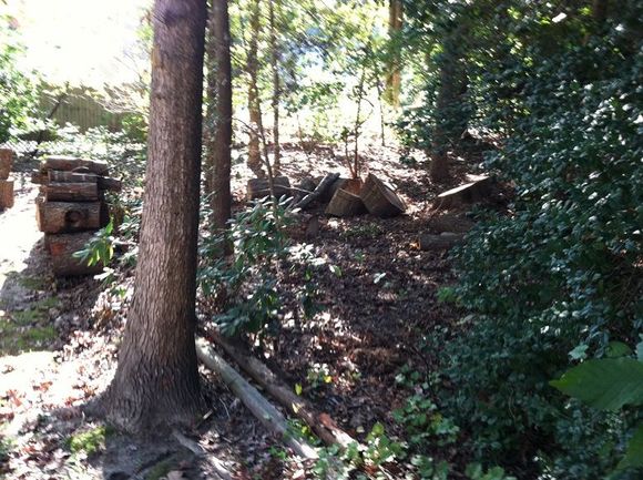 woodleft
