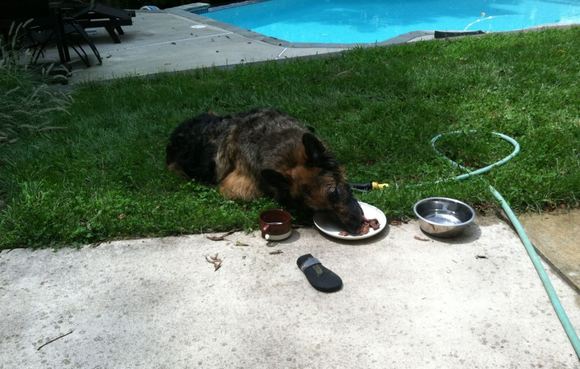 rommel last Day