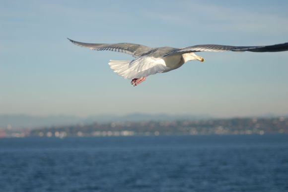 DSC_0064.JPG