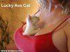 cat avatar.jpg