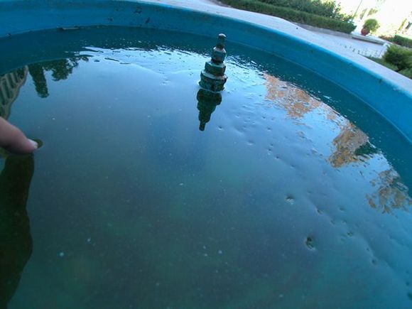 DSCN6910.jpg