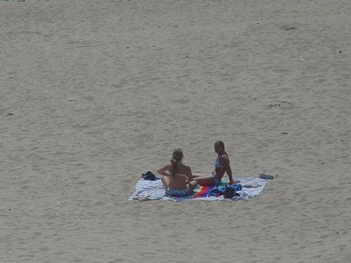 Picture 008-small.JPG