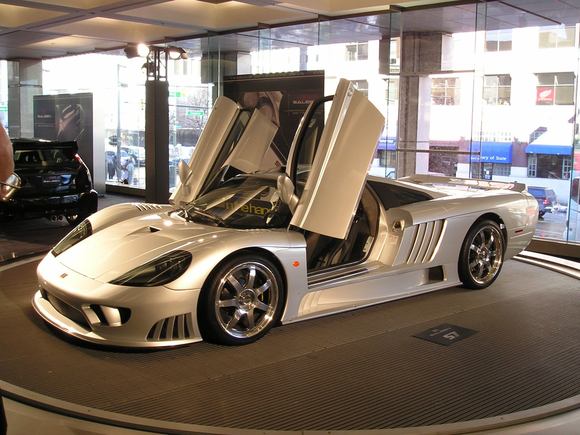 Saleen doors.JPG