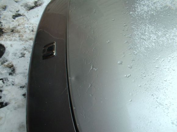 Rearended Jan 16 2004 012.jpg