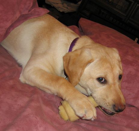 6maggie02-1.jpg