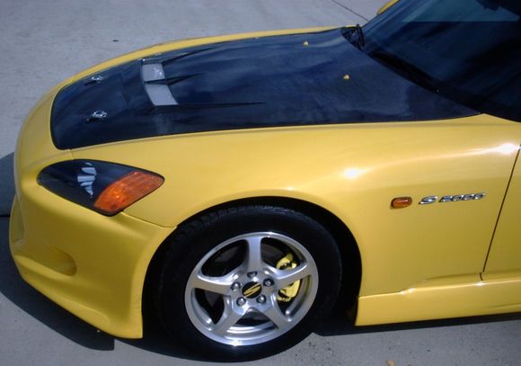 DS hood.jpg