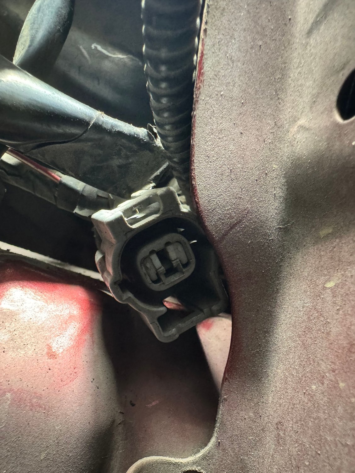 Front of mystery plug