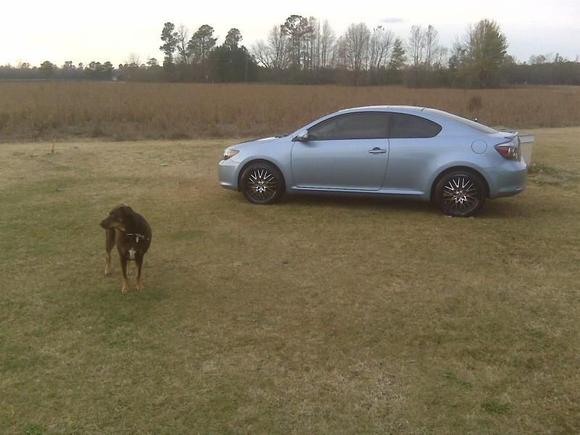 My car and dog