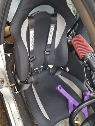 Seat, sparco harnesses and purple h brace