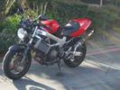 01 hawk