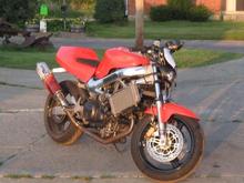 hawk front 3/4