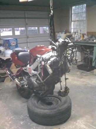 ..So I removed the front end and I'm taking the forks to a mechanic to clean and reseal. Thanks to Chris for helping me stripping my ho down, and tying her up with chains.