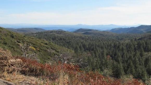 South CA mountains, looking south from Mt Laguna.