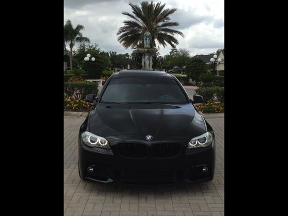 My daily