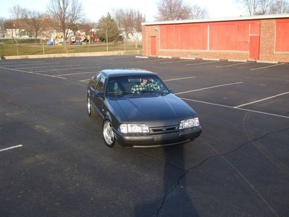 My Stang 5