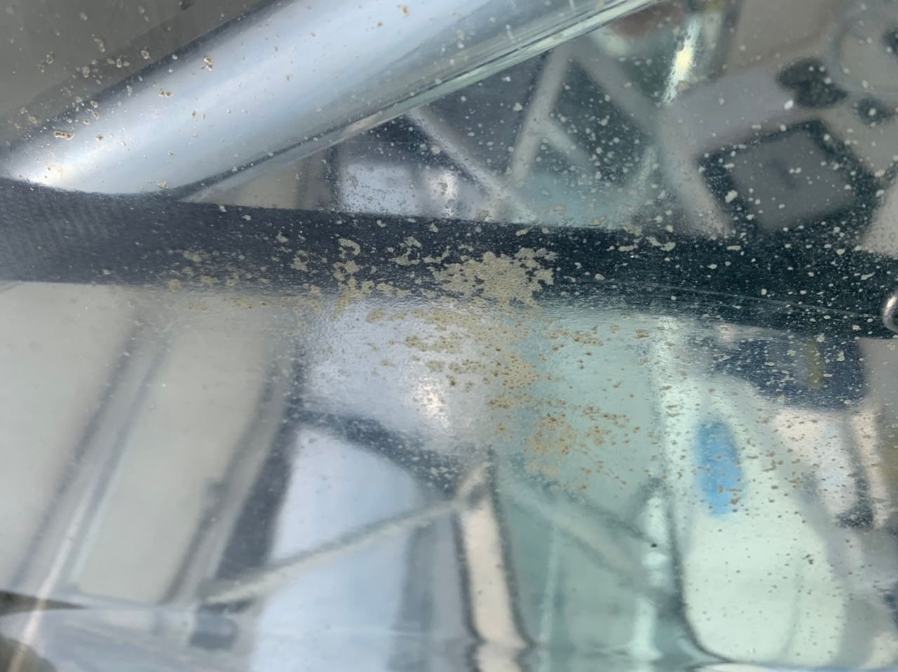 Help with Isinglass The Hull Truth Boating and Fishing Forum