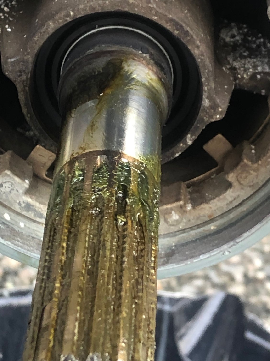 Milky Oil After Seal Change The Hull Truth Boating And Fishing Forum