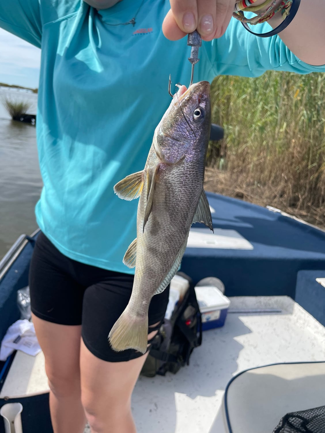 What kind of fish? Caught in LA marsh - The Hull Truth - Boating and Fishing  Forum
