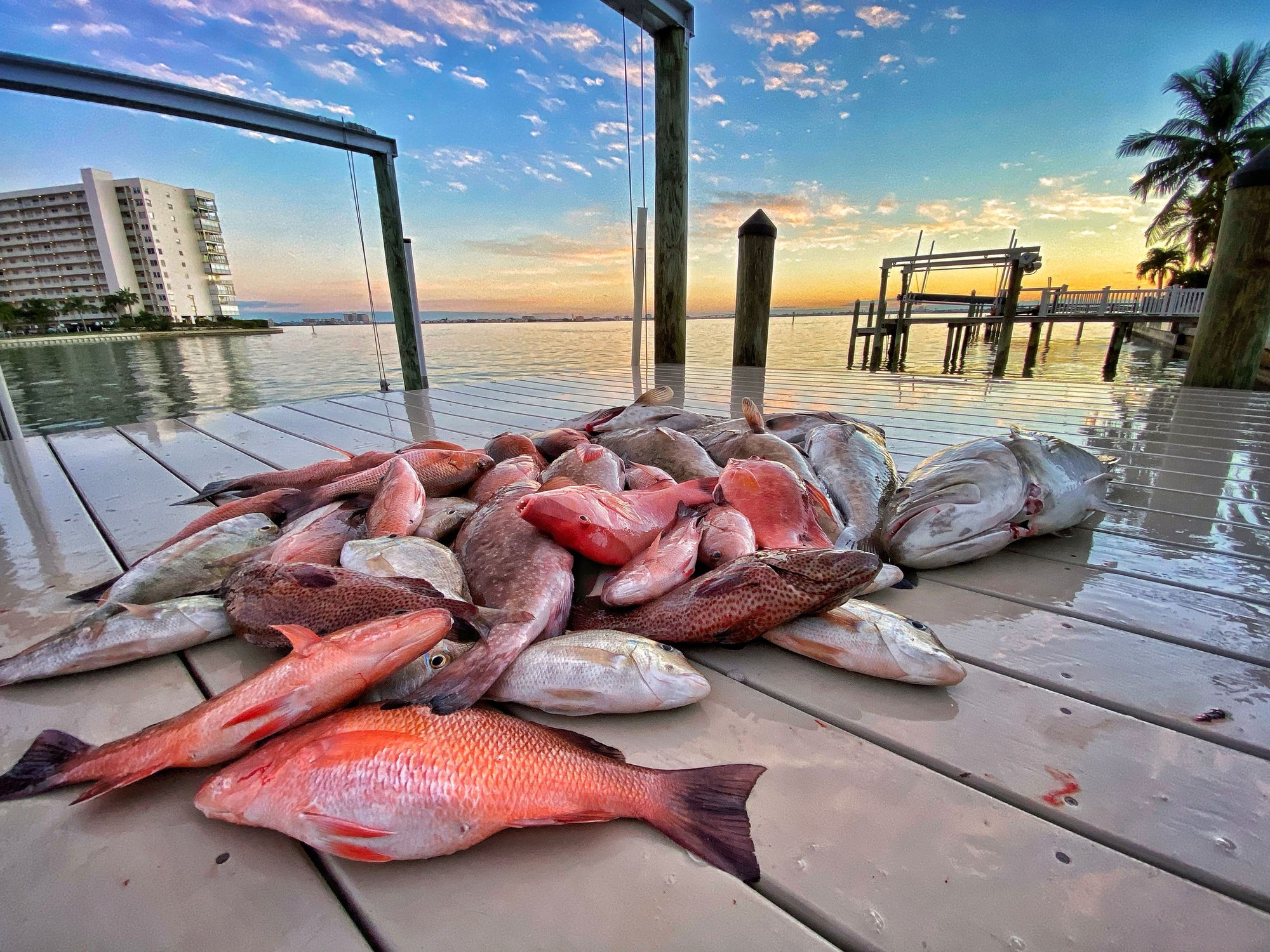 The Hull Truth Boating and Fishing Forum 3885 GPS s from